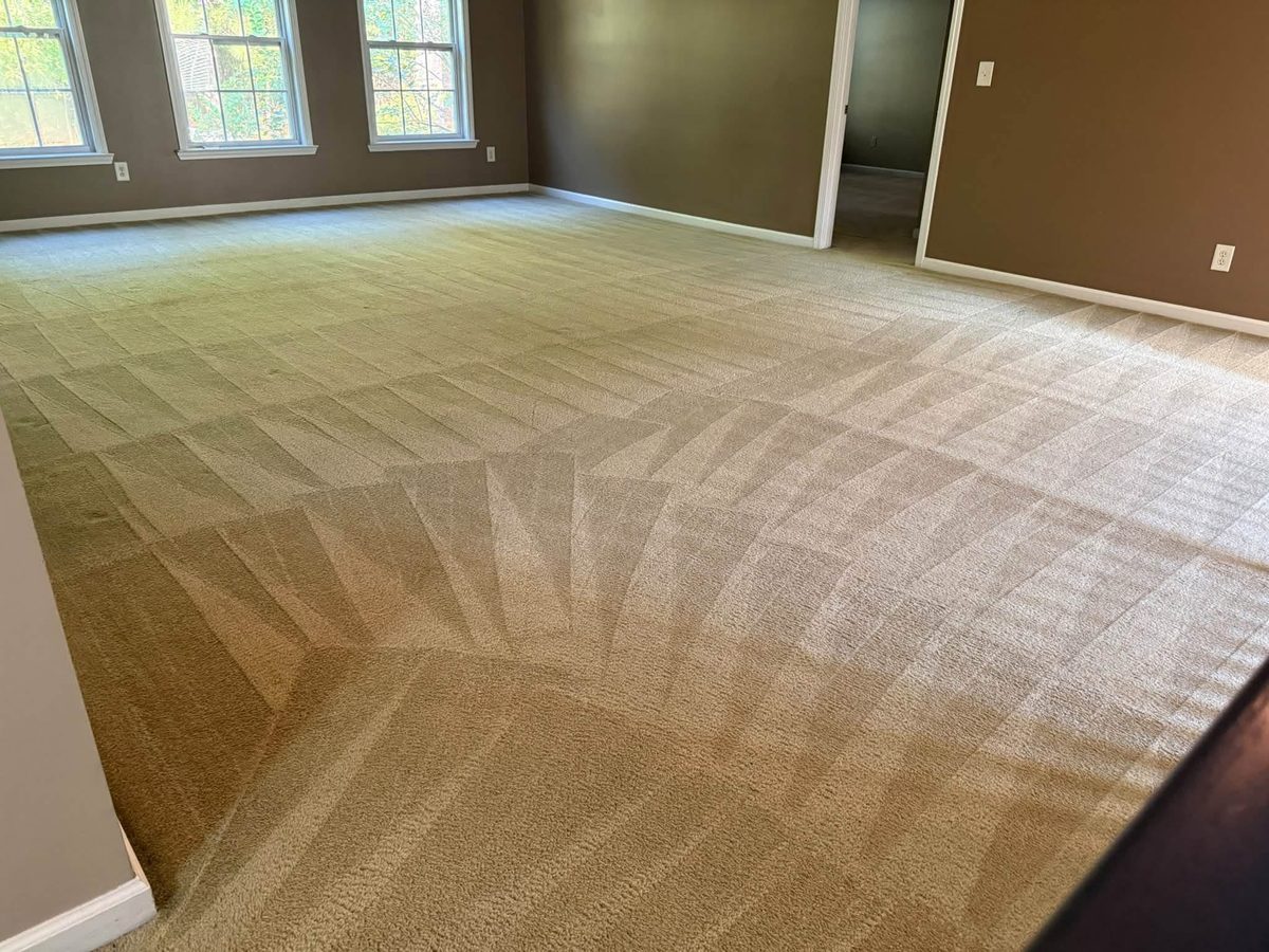 Freshly cleaned beige wall-to-wall carpet with grooming lines in a Massachusetts living room